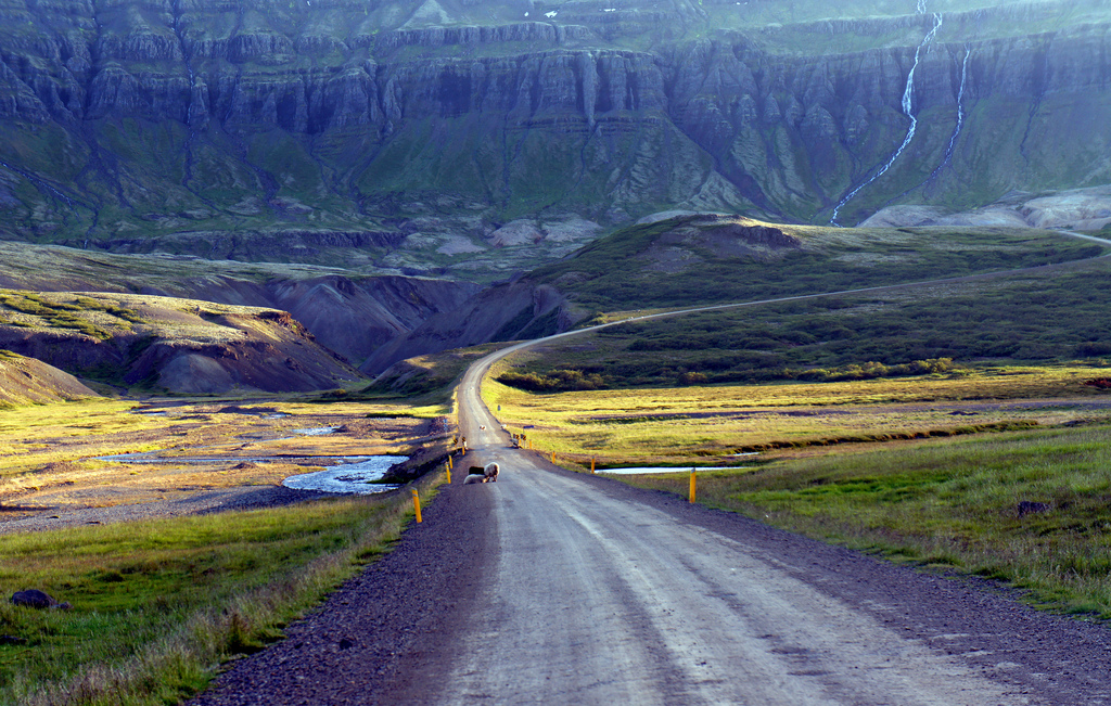 Bilan de l'année 2016