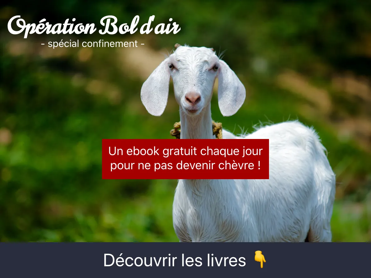 Capture d'écran Opération bol d'air